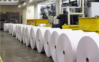 روزانه 3 میلیون تن کاغذ در کشور تولید می‌شود