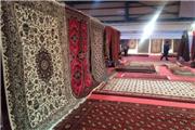 افتتاح دومین نمایشگاه تخصصی فرش دستباف گلستان
