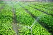 برنامه‌های توسعه کشاورزی مطابق با مدیریت مصرف آب تنظیم شود