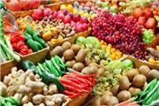 آغاز صادرات مستقیم میوه و تره بار به عمان