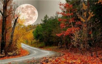 نمایشگاهی برای فروش آثار چند نسل هنری