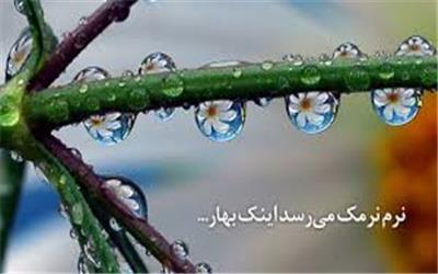 نرم نرمک می رسد اینک بهار