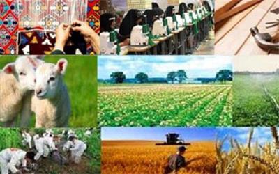 تصویب بیش از 3200 طرح اشتغالزایی روستایی در بانک سینا
