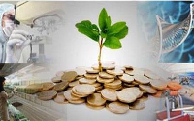 چالش‌های کسب و کارها و استارتاپ‌های در حال رشد